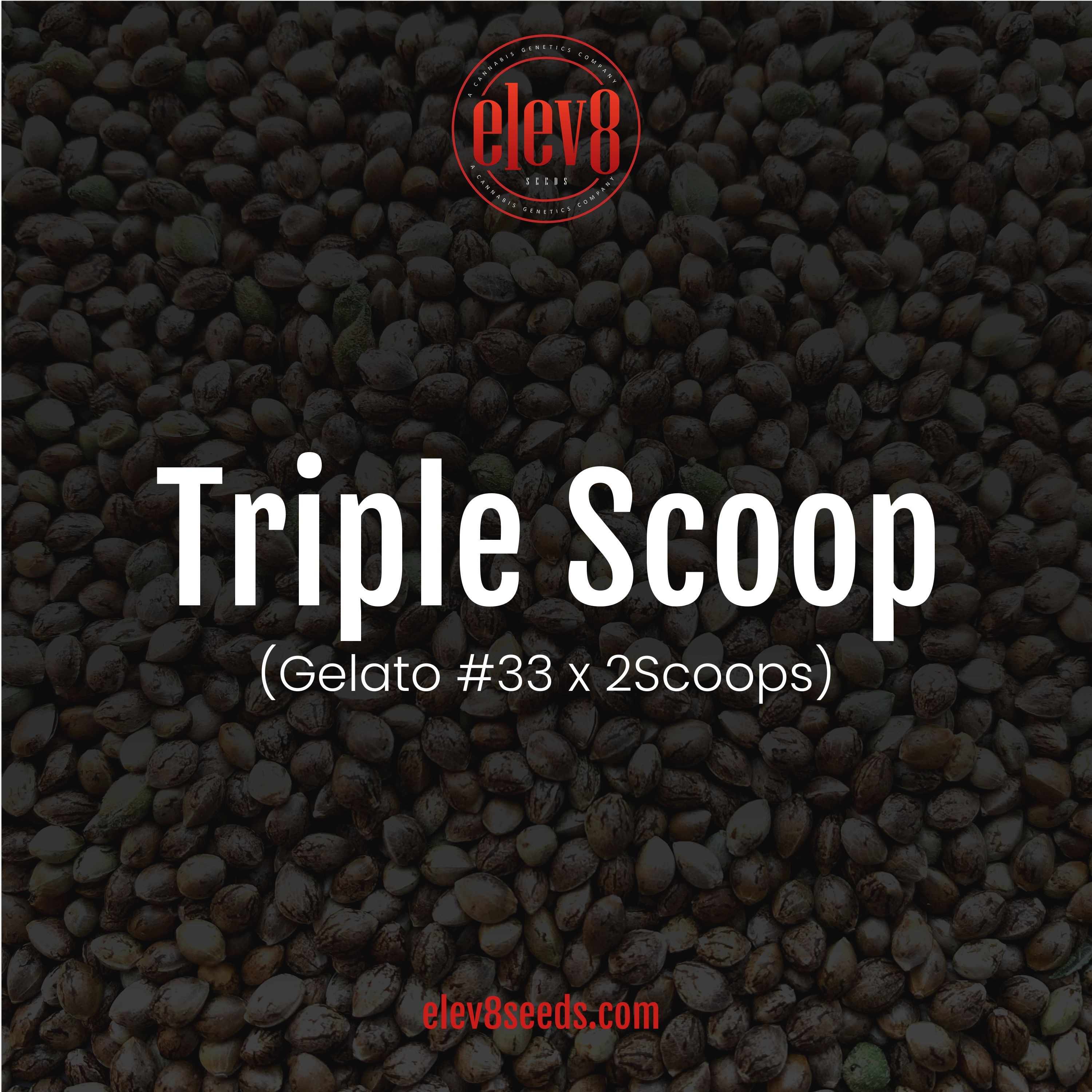 Triple Scoop (Indica) Leafly